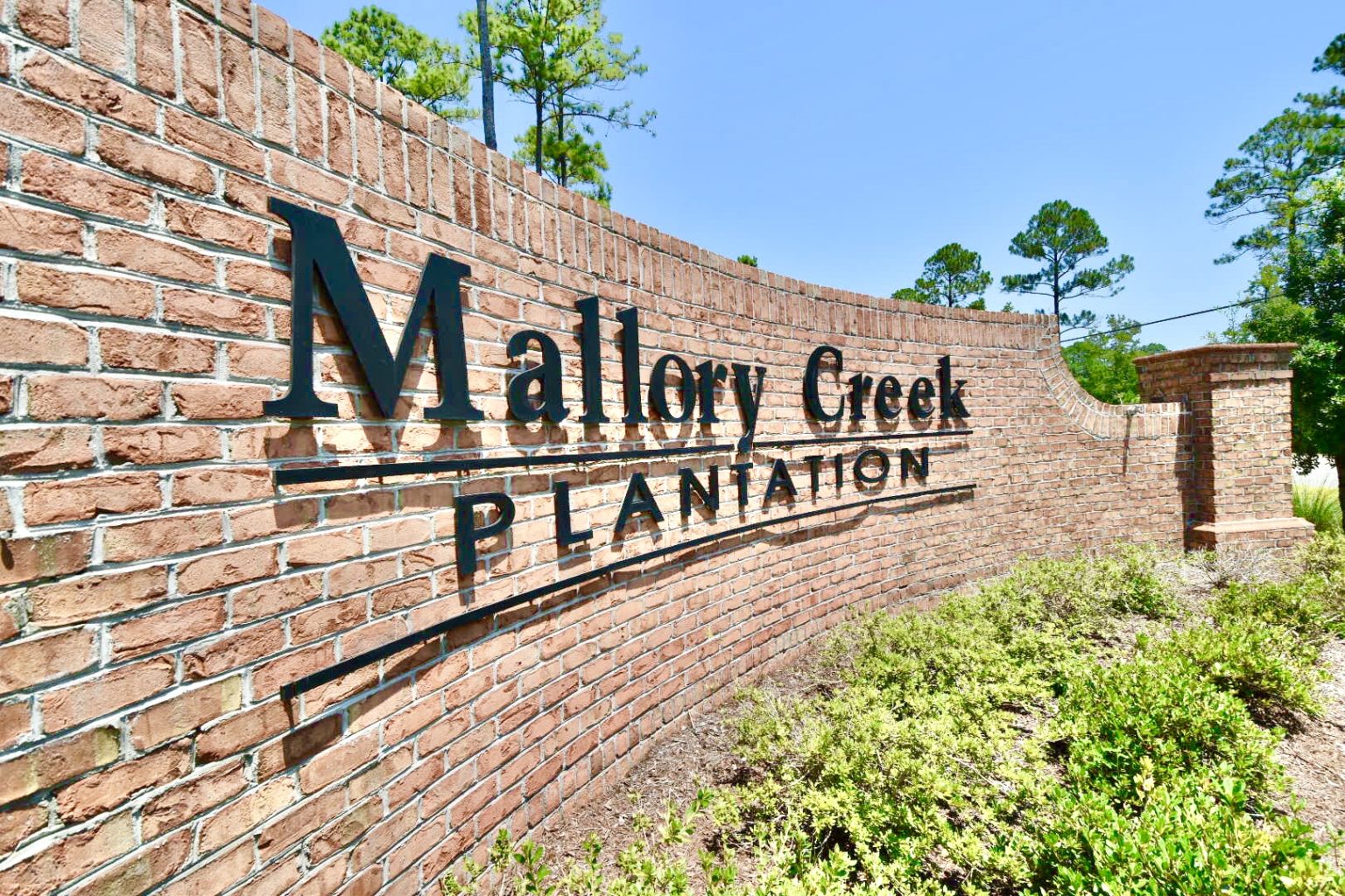 The Forest At Mallory Creek